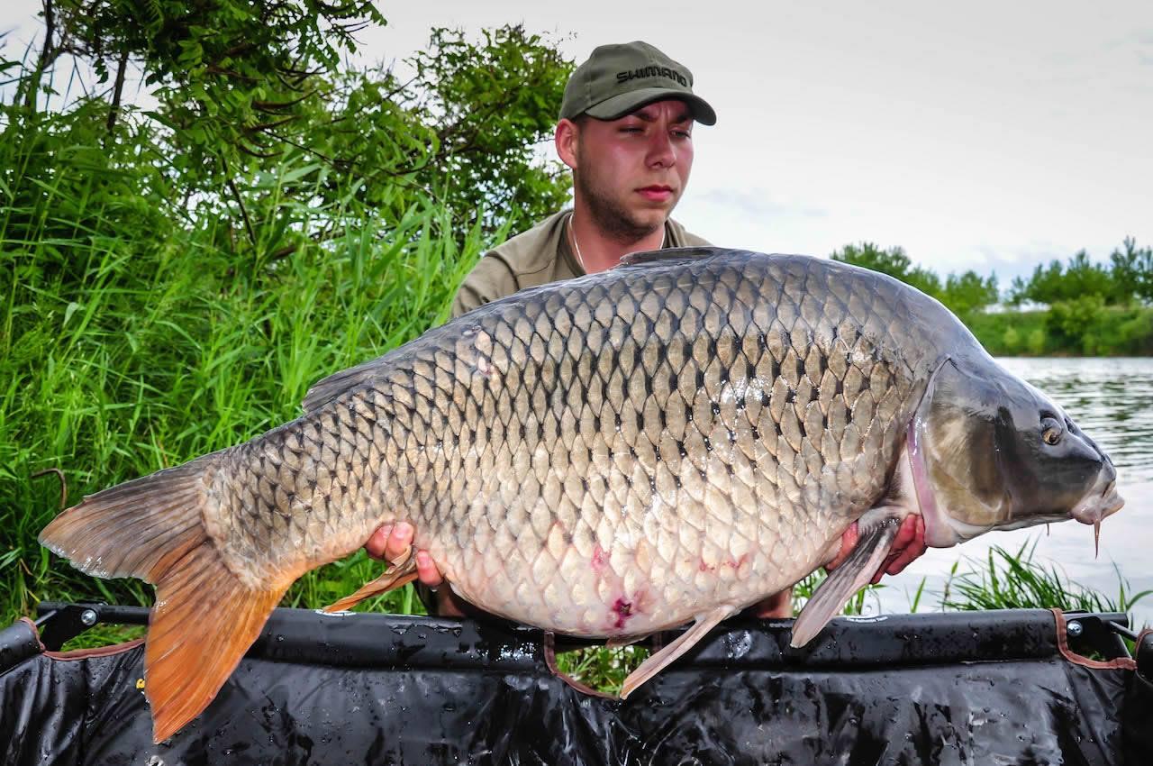 Pescuit selectiv cu Claudiu Popa. Cum sa prinzi crap mare?